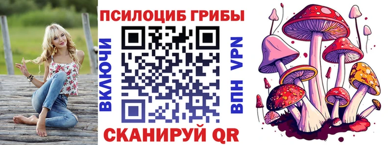блэк спрут tor  Норильск  Псилоцибиновые грибы прущие грибы  купить  